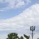 ���������� ������, ���� ������� �������, 34 ����, ������������ ��� ������, ����� � ���������, c�������� ���������