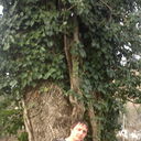 ���������� ������, ���� ������� ������, 36 ���, ������������ ��� ������