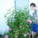 ���������� �����������, ���� ������� ������, 55 ���, ������������ ��� c�������� ���������