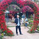 ���������� �����-���������, ���� ������� ����, 29 ���, ������������ ��� ������, ����� � ���������, c�������� ���������