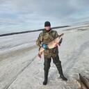 ���������� �����-��������, ���� ������� ���������, 38 ���, ������������ ��� ������, ����� � ���������, c�������� ���������, ���������