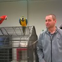 ���������� �����-���������, ���� ������� �������, 43 ����, ������������ ��� ������, ����� � ���������, c�������� ���������