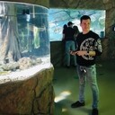 ���������� �����������, ���� ������� �������, 34 ����, ������������ ��� ������, ����� � ���������, c�������� ���������