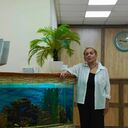 ���������� �����������, ���� ������� ���������, 62 ����, ������������ ��� ������, ����� � ���������