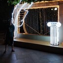 ���������� ���, ���� ������� �������, 29 ���, ������������ ��� ������, ����� � ���������, c�������� ���������