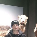   ,   , 41 ,   c 