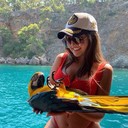 ���������� ������, ���� ������� �����, 27 ���, ������������ ��� ������