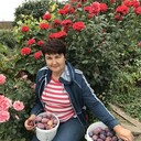  ,   , 57 ,   ,   