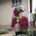 ���������� �����, ���� ������� �����, 68 ���, ������������ ��� ������, ����� � ���������, c�������� ���������