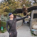  ,   , 29 ,   