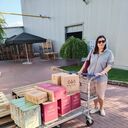 ���������� ������, ���� ������� ����, 47 ���, ������������ ��� ������, ����� � ���������