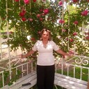 ���������� �����-���������, ���� ������� �����, 54 ����, ������������ ��� ������, ����� � ���������, c�������� ���������, ���������