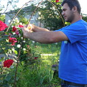 ���������� �������, ���� ������� Lasha, 35 ���, ������������ ��� ����� � ���������, c�������� ���������