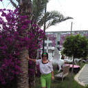  ,   , 61 ,   c 