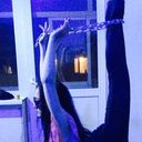 ���������� �������, ���� ������� �������, 31 ���, ������������ ��� ������, ����� � ���������, c�������� ���������