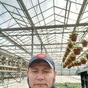  -,   , 41 ,   ,   