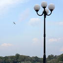 ���������� ������, ���� ������� VLADIMIR, 53 ����, ������������ ��� ������, ����� � ���������, c�������� ���������