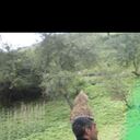  ,   Adam, 53 ,   ,   
