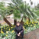  Correggio,   Tanya, 60 ,     , c 