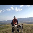 ���������� ������, ���� ������� ����, 34 ����, ������������ ��� ������, ����� � ���������