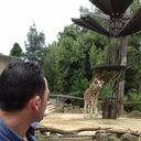 ���������� �������-�����, ���� ������� �����, 33 ����, ������������ ��� ������, ����� � ���������, ���������