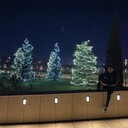 ���������� ���������, ���� ������� ������, 33 ����, ������������ ��� ������, ����� � ���������