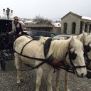  ,   Satko, 47 ,   