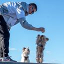 ���������� ��������, ���� ������� ��������, 38 ���, ������������ ��� ������, ����� � ���������, c�������� ���������, ���������