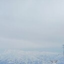 ���������� ������, ���� ������� Nasim, 44 ����, ������������ ��� ������, ����� � ���������, c�������� ���������, ���������