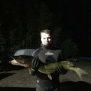 ���������� �����-���������, ���� ������� �����, 36 ���, ������������ ��� ������, ����� � ���������, c�������� ���������, ���������