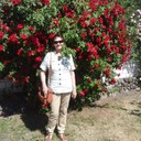  ,   , 62 ,   ,   , c 