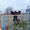  ,   , 36 ,   