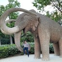 ���������� �������, ���� ������� Igor, 50 ���, ������������ 