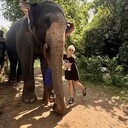 ���������� �����, ���� ������� ��������, 37 ���, ������������ 