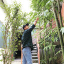  Adiyaman,   Fang dave, 45 ,   ,   