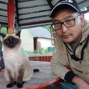  ,   , 41 ,   ,   