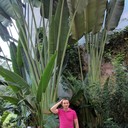  ,   , 33 ,   ,   , c 
