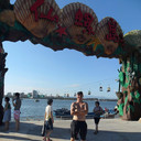 ���������� ������, ���� ������� �������, 43 ����, ������������ ��� ������, ����� � ���������, c�������� ���������