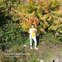  ,   , 62 ,     , 