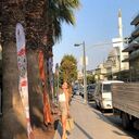 ���������� ������, ���� ������� ���, 23 ����, ������������ ��� ������, ����� � ���������