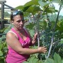 ���������� ����������, ���� ������� ������, 50 ���, ������������ 