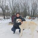  ,   , 40 ,   c 