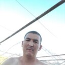  -,   , 40 ,  