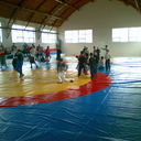 ���������� ����������, ���� ������� ����, 43 ����, ������������ ��� ������