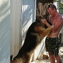 ���������� �����������, ���� ������� ����, 37 ���, ������������ ��� ������, ����� � ���������, c�������� ���������