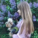  ,   , 26 ,     , c , 