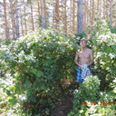 ���������� ����������, ���� ������� ����, 49 ���, ������������ ��� ������, ����� � ���������, c�������� ���������