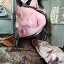  ,   Lev, 32 ,   ,   , c 