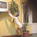 ���������� ������, ���� ������� Dayana, 31 ���, ������������ ��� ������, ����� � ���������, c�������� ���������