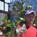 ���������� ���������� �����, ���� ������� ��������, 38 ���, ������������ ��� ������, ����� � ���������, c�������� ���������